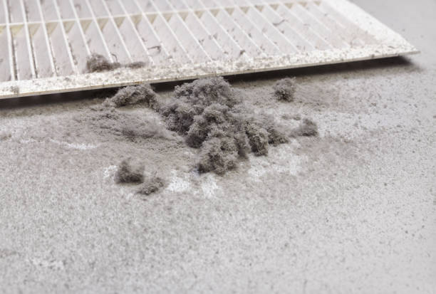 Best HVAC Duct Inspection Services  in Browntown, PA